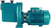 Насос для бассейна с предварительным фильтром CalpedaNMP 50/12HE 220V