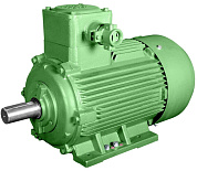 Взрывозащищенный электродвигатель BA250M2